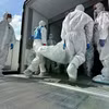 Các nhân viên chuyển thi thể binh sỹ Ukraine từ xe vận chuyển đông lạnh để hồi hương gần Novaya Guta, Belarus vào ngày 19/8. (Nguồn: AP)