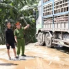 Lực lượng chức năng bắt giữ xe tải biển kiểm soát 37H-024.39, chở 180 con lợn nhiễm dịch tả lợn châu Phi. (Ảnh: TTXVN phát)