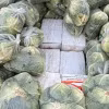 900kg ketamine và 700kg ma túy đá được chia thành nhiều kiện hàng giấu bên dưới các túi rau bắp cải chất trên thùng xe. (Nguồn: AFP)