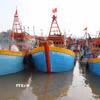 Các tàu cá neo đậu tại Cảng cá Vàm Láng, xã Gia Thuận, tỉnh Đồng Tháp. (Ảnh: Hữu Chí/TTXVN)
