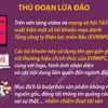 Cảnh báo mạo danh Tổng công ty Điện lực miền Bắc trên Tiktok