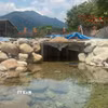 Đập bêtông kiên cố cao gần 1m ngăn dòng chảy của con suối Khe Su. (Ảnh: Văn Dũng/TTXVN)