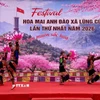 Nhiều tiết mục văn nghệ mang đậm bản sắc văn hóa trong Lễ hội hoa mai anh đào. (Ảnh: TTXVN phát)