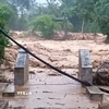 Cầu dân sinh vào bản Nhôn Mai, xã Nhôn Mai, Nghệ An bị lũ cuốn trôi khiến 200 hộ dân bị cô lập. (Ảnh: TTXVN phát)