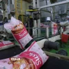 Đóng gói gạo xuất khẩu ở nhà máy của Tập đoàn Lộc Trời tại huyện Thoại Sơn, tỉnh An Giang. (Ảnh: Vũ Sinh/TTXVN)