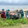 Lực lượng chức năng phường Hải Vân giúp ngư dân đưa thuyền thúng lên bờ tránh bão. (Ảnh: TTXVN phát)