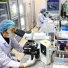 Nghiên cứu khoa học tại Bệnh viện Nội tiết Trung ương. (Ảnh: Thanh Tùng/TTXVN)