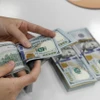 Kiểm đồng USD. (Ảnh: Trần Việt/TTXVN)