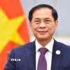 Phó Thủ tướng, Bộ trưởng Ngoại giao Bùi Thanh Sơn. (Ảnh: TTXVN phát)