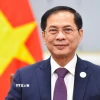 Phó Thủ tướng, Bộ trưởng Ngoại giao Bùi Thanh Sơn. (Ảnh: TTXVN phát)