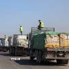 Đoàn xe chở hàng viện trợ nhân đạo tại Deir al-Balah, miền Trung Dải Gaza. (Ảnh: THX/TTXVN)