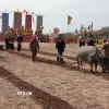 Nông dân thực hiện nghi thức cày ruộng đầu năm. (Ảnh: Trần Việt/TTXVN)