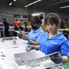 Công nhân tại Khu Công nghiệp Phố Nối A hăng say sản xuất. (Ảnh Mạnh Khánh/TTXVN)