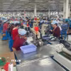 Hoạt động sản xuất tại Công ty Pou Phong Việt Nam, Khu công nghiệp Bàu Xéo (Đồng Nai). (Ảnh: Công Phong/TTXVN)