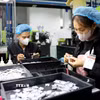 Công nhân Công ty TNHH Nhựa Cotec (Khu công nghiệp Phúc Khánh, thành phố Thái Bình) sản xuất các sản phẩm. (Ảnh: Thế Duyệt/TTXVN)