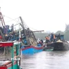 Lực lượng Bộ đội Biên phòng, các lực lượng, chính quyền địa phương và người dân nỗ lực kéo tàu lên khỏi vị trí chìm. (Ảnh: TTXVN phát)