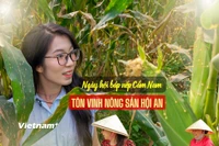Bắp nếp Cẩm Nam, một trong những đặc sản có hương vị độc đáo của vùng Di sản Văn hóa Thế giới phố cổ Hội An. (Ảnh: Thanh Phong/Vietnam+)