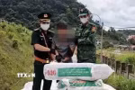 (Ảnh minh họa. TTXVN phát)