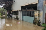 Nhiều nhà dân ở phường Quy Nhơn Đông, Gia Lai bị ngập từ 0,5-1,5m. (Ảnh: Sỹ Thắng/TTXVN)