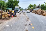 Bùn đất rơi vãi trên lề và mặt đường trong quá trình bốc dỡ, vận chuyển gỗ, làm tăng nguy cơ mất an toàn giao thông trên Quốc lộ 22B. (Ảnh: Minh Phú/TTXVN)