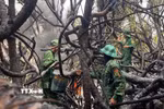 Lực lượng Bộ đội Biên phòng nỗ lực dập lửa cháy rừng phòng hộ tại xã Đông Trạch. (Ảnh: TTXVN phát)