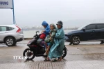 Di dời người dân phường Sa Huỳnh đến các nơi tránh trú tập trung. (Ảnh: Phạm Cường/TTXVN)
