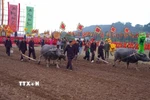 Các đại biểu thực hiện những sá cày tại lễ hội. (Ảnh: Thanh Tuấn/TTXVN)