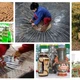 Trụ cột, động lực kinh tế tư nhân
