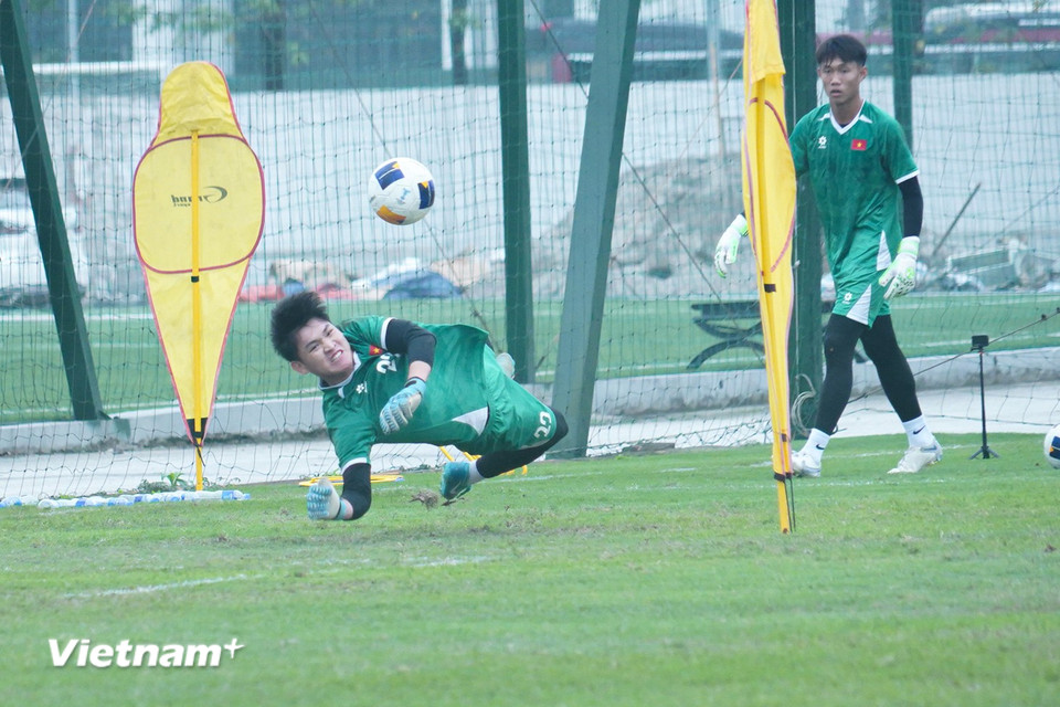 Tại Vòng Chung kết U17 châu Á 2025, tuyển U17 Việt Nam nằm ở bảng đấu có sự góp mặt của Đương kim vô địch Nhật Bản; Australia - đội đã 3 lần lọt vào tới Bán kết và UAE. (Ảnh: Việt Anh/Vietnam+)