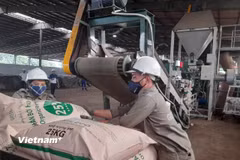 Thúc đẩy doanh nghiệp thay đổi cách tiếp cận với chất thải sau tiêu dùng. (Ảnh: HV/Vietnam+)