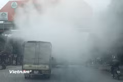 (Ảnh minh họa. Nguồn: Vietnam+)
