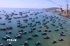 Cả nước đã có hơn 28.000 tàu cá lắp đặt VMS, chiếm hơn 99% số tàu phải lắp đặt theo quy định. (Nguồn: TTXVN)
