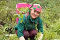 Việc nâng cao năng suất lao động trong lĩnh vực nông nghiệp được đặt trong mối quan hệ chặt chẽ với phát triển nguồn nhân lực. (Ảnh: Nguyễn Cường)