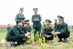 Nữ cán bộ, chiến sĩ Bộ đội Biên phòng tỉnh Quảng Trị hưởng ứng Tết trồng cây Xuân Bính Ngọ năm 2026. (Ảnh: Võ Dung/TTXVN)