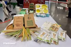 Việc tái chế bao bì đồ uống không chỉ là giải pháp tiết kiệm tài nguyên, giảm phát thải, cải thiện môi trường, mà còn góp phần cung cấp nguyên liệu tái chế cho hoạt động sản xuất mới. (Nguồn ảnh: Vietnam+)