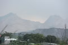 (Ảnh minh họa. Nguồn: Vietnam+)