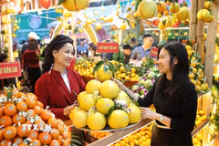 Hướng tới phát triển đồng bộ hệ thống logistics nông sản theo hướng liên kết vùng. (Nguồn ảnh: TTXVN)