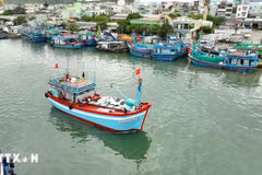 Thực hiện quyết liệt các giải pháp cấp bách nhằm quản lý chặt chẽ hoạt động khai thác hải sản của ngư dân. (Ảnh: Vũ Sinh/TTXVN)