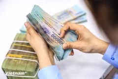 Ảnh minh họa. (Nguồn: Vietnam+)