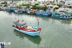 Đến nay, 100% tàu cá đã hoàn tất đăng ký, đăng kiểm, cập nhật dữ liệu lên VNFishbase. (Ảnh: Vũ Sinh/TTXVN)