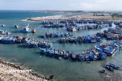 Cần thực thi quyết liệt từ cơ sở để gỡ "thẻ vàng" IUU. (Ảnh: Hoài Nam/Vietnam+)
