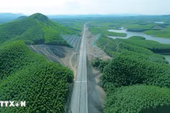 Cao tốc Vạn Ninh-Cam Lộ xuyên qua cánh rừng. (Ảnh: Quốc Khánh/TTXVN)