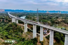 (Ảnh minh họa. Nguồn: Vietnam+)