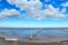 Triển khai công nghệ thu giữ, sử dụng và lưu trữ carbon. (Ảnh: Hoài Nam/Vietnam+)