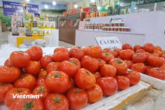 Các sản phẩm tại Hội chợ Làng nghề Việt Nam lần thứ 22 - năm 2026. (Ảnh: Hùng Võ/Vietnam+)