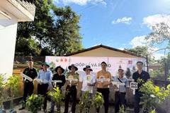 Năm 2025, Chiến dịch “Góp Lá Vá Rừng” tiếp nối ở quy mô lớn hơn năm trước, với hơn 60.000 cây được trồng trên diện tích gần 100 ha. (Ảnh: PanNature)