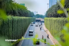Quản trị môi trường theo hướng hiện đại. (Ảnh: Hoài Nam/Vietnam+)