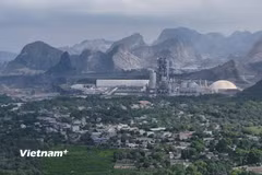 Đề nghị các tỉnh vào cuộc kiểm tra sau phản ánh của Báo Điện tử VietnamPlus. (Nguồn: Vietnam+)
