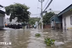Mưa lớn gây ngập lụt diện rộng tại nhiều địa phương thuộc tỉnh Quảng Ninh. (Ảnh minh họa: Thanh Vân/TTXVN)