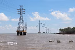 Khu vực ven biển của tỉnh Cà Mau có điều kiện rất thuận lợi để phát triển lĩnh vực năng lượng tái tạo. (Ảnh: Huỳnh Anh/TTXVN)